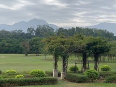 -福建鲤鱼洲酒店