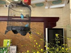 -懋隆金阁·博山菜