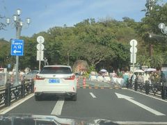 -野狸岛