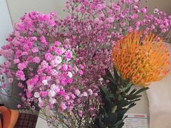 -双季花艺园艺市场(浦东店)