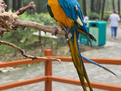 -北京野生动物园