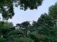 -丰台花园