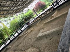 -合肥三国新城遗址公园