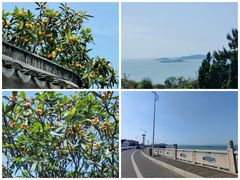 -东山风景区(洞庭东山)