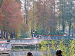 -四海公园(南山区)