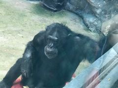 -鄂尔多斯野生动物园