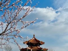 -白水寺森林公园