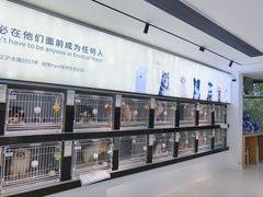 -翊宠yipet猫狗购宠庄园犬舍•猫舍