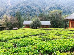 -姑婆山旅游区