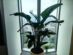 -周素文律师团队·法律咨询(曹杨店)