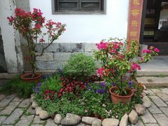 -惠山古镇·寄畅园