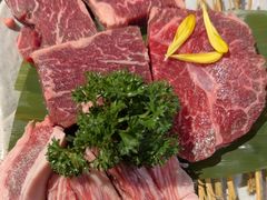 -道乐烧肉酒馆