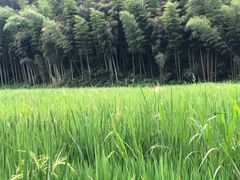 -山沟沟景区