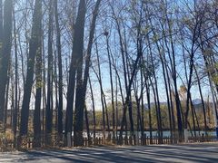 -荣德灶台鱼(圣泉寺店)