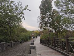 -溱湖国家湿地公园