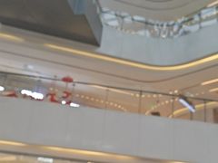 -阳光天地