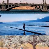 其他拆剩的环境一般 住双廊亲水房一定要有管家服务的