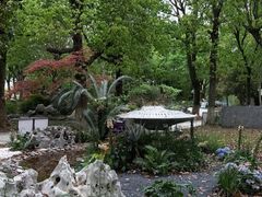 -上海鲜花港