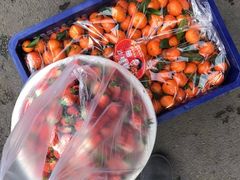 -堤口果品批发市场