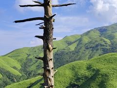 -萍乡武功山风景名胜区