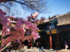 -张学良旧居陈列馆