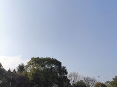 -上海佘山国家森林公园东门地面停车场