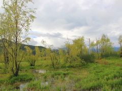 -泸沽湖国家级风景名胜区走婚桥