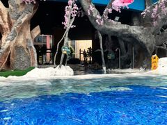 -中铁花水湾四季温泉谷