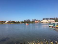 -上海长兴岛郊野公园