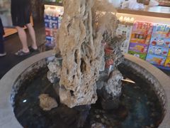 -都江堰石锅鱼