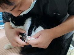 -皮特动物医院(24小时店)