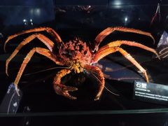-同济大学四平路校区深海探索馆