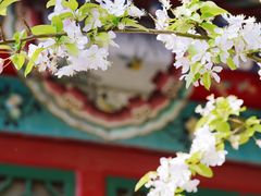 -海棠花溪(元大都城垣遗址公园)