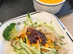 -魏家凉皮(郑州东站店)