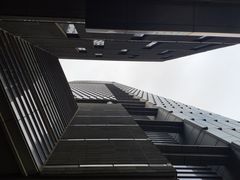 -紫峰大厦