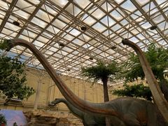 -国家自然博物馆