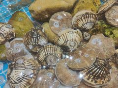 -小船渔村•大连菜•大连焖鱼(黄河路店)