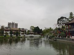 -顺峰山公园