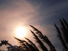 -盘龙城遗址博物院