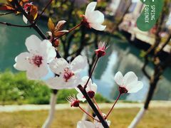 -白鹭湾湿地公园