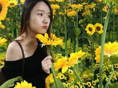 -天津梵高星空艺术馆(天河城旗舰店)