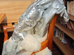 -漫渡庄•留芳小馆•泰州早茶•锡帮菜