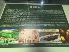 -广东中医药博物馆