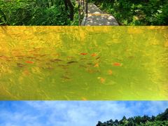 -黄崖洞文化旅游区