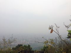-风云岭森林公园