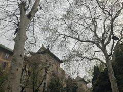 -武汉大学-樱园