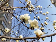 -陕西师范大学(雁塔校区)