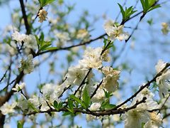 -重庆彩云湖湿地公园