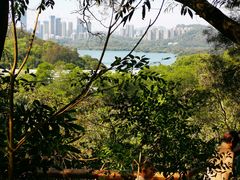 -深圳仙湖植物园