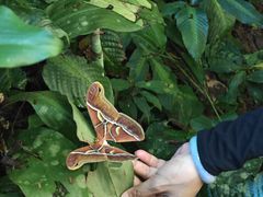 -中国科学院西双版纳热带植物园